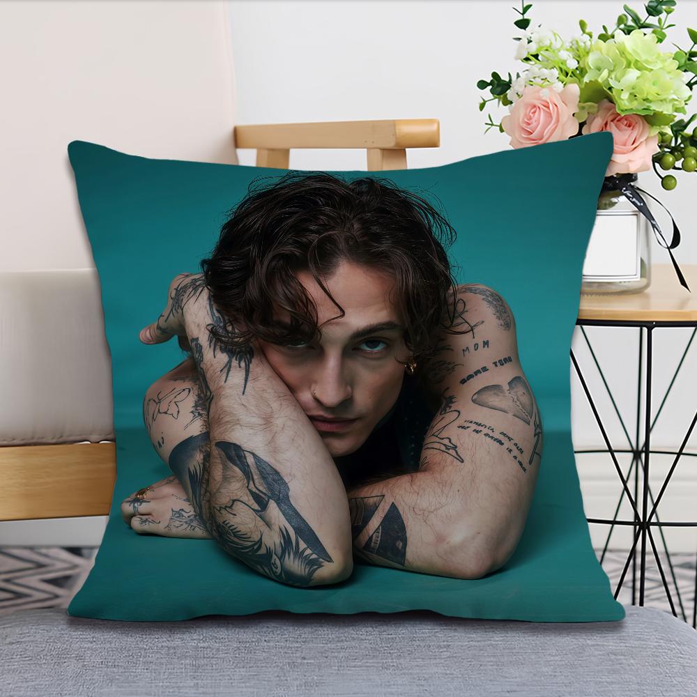 Rock Singer DDamiano David cushion cover Pillow Case Square Cushion Room Bedroom Headboard Sofa Living Backrest Nap Time