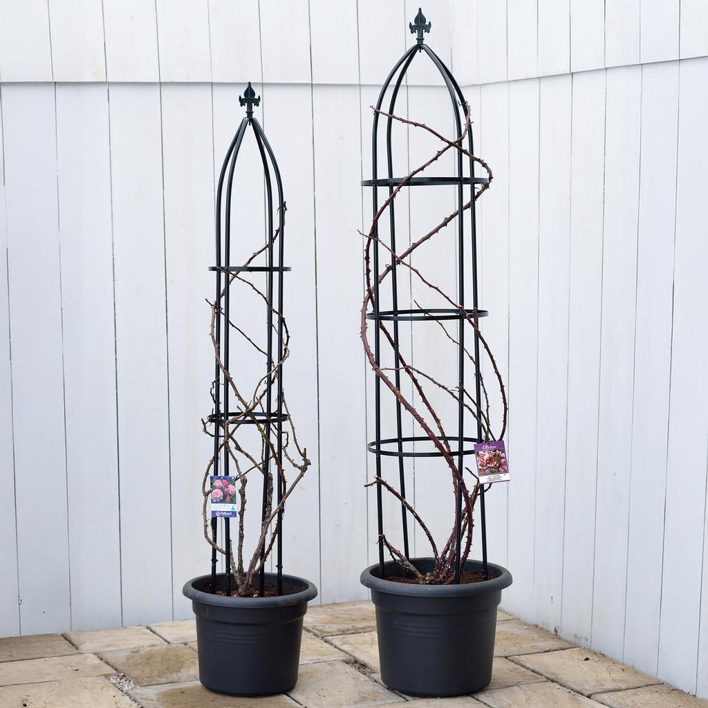 Takasho G-Story Obelisk Trellis, Black Wire Mesh, Garden Support for Climbing Roses, Clematis, and More, Steel and Polyethylene, GSTR-RC14