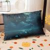 Starry Sky Sunset Sea Pillow,2D Night Scene Pillow Core and Case Set,Aesthetic Pillow for Student Dormitory