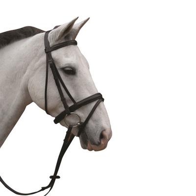 Hy Padded Flash Bridle with Rubber Grip Reins
