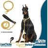 12mm Gold Cuban Link Dog Collar - Stainless Steel Chain Collar with O-Ring Lock for Small, Medium & Large Dogs - Adjustable Heavy Duty Pet Walking