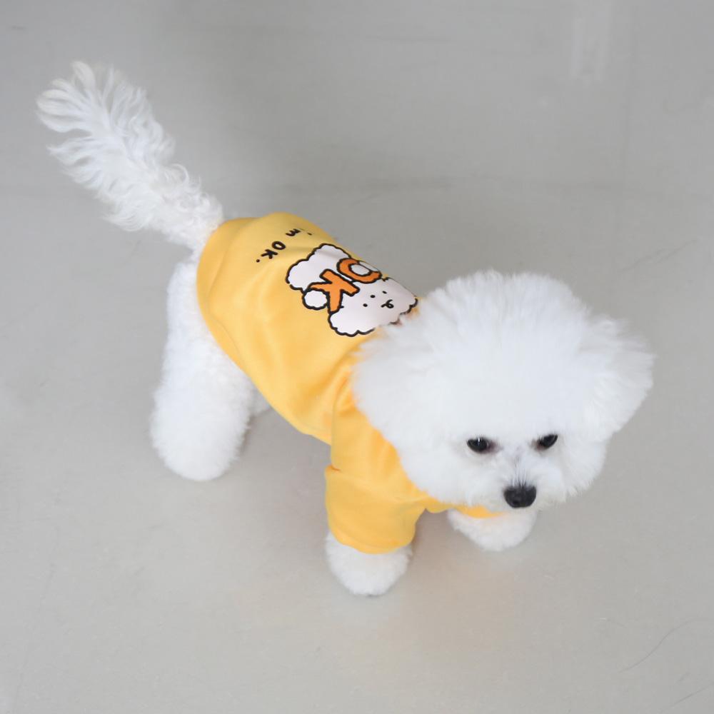 Cat and Dog Clothes for Autumn and Winter, Made of Milk Silk and Flannel, with a Cute Dog Print Hoodie and Drawstring Buckle