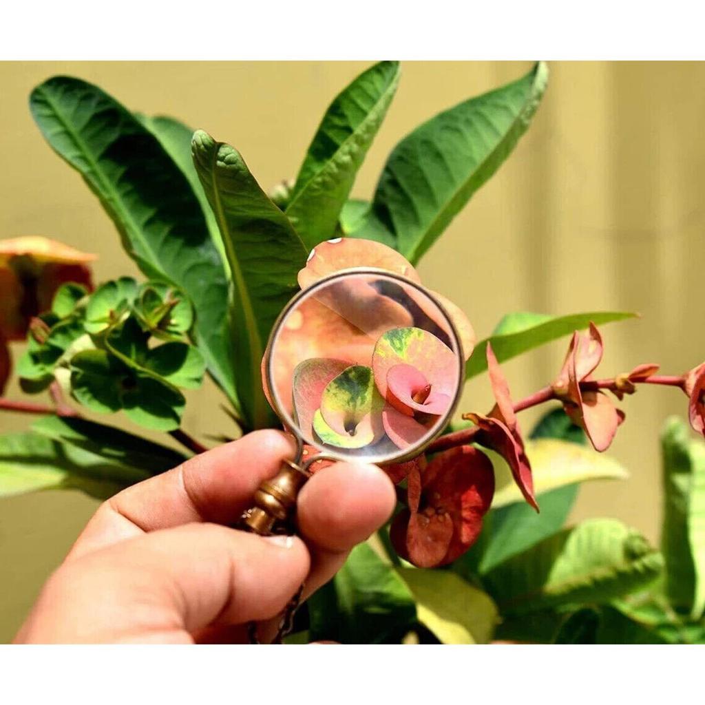 India Brass Necklace magnifier with Chain Magnifying Glass Leather cover 2x magnifier  (Brown)