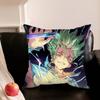 D-Dr S-Stone A-Anime Pillowcase For Sofa Room Office Decor Printing Protector Cushion Cover Valentine Gift Custom