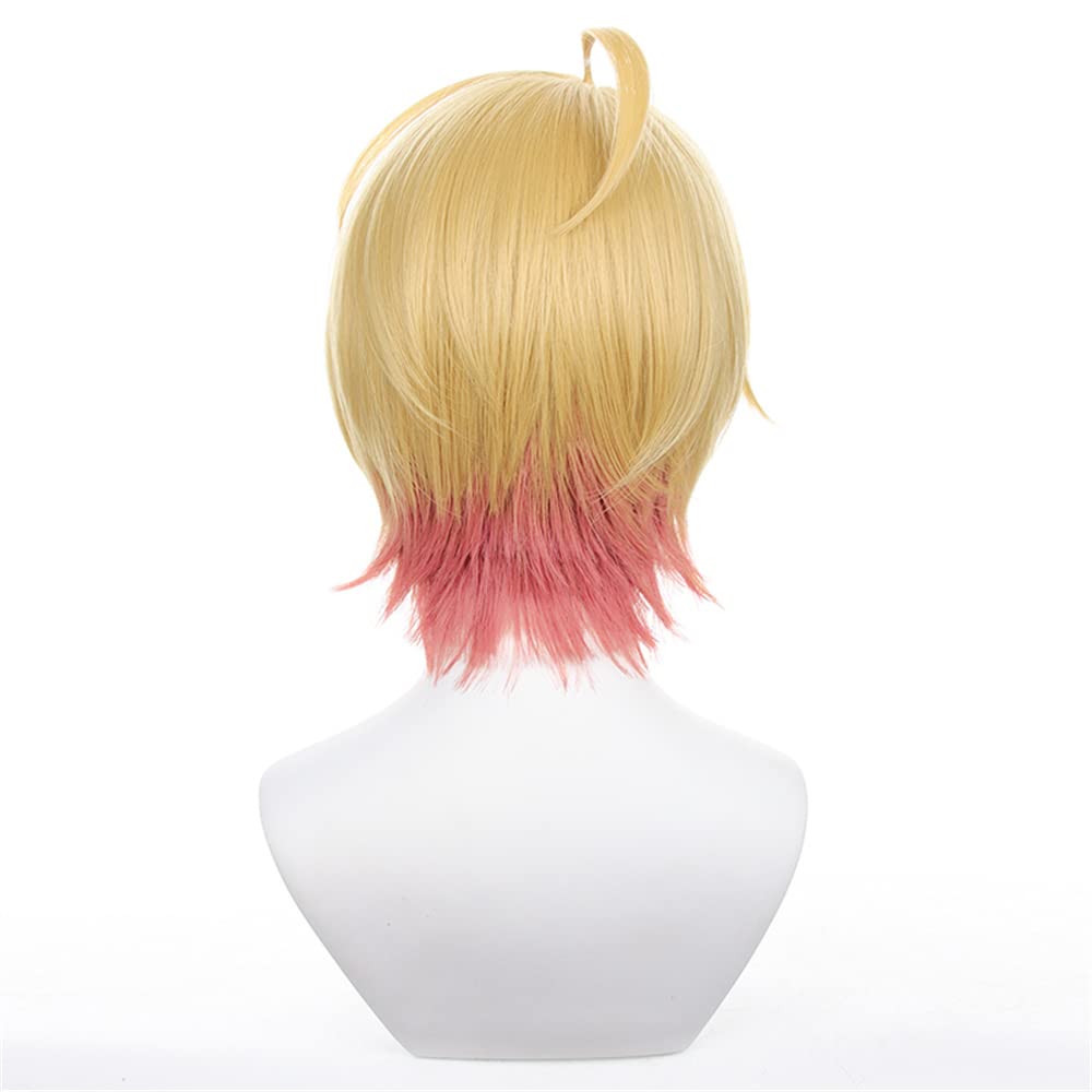 iirukaa Oshi no Ko Hoshino Aqua Wig, Heat Resistant, Perfect for Photography, 2D Goods, Events, Cosplay, Halloween, and Disguise