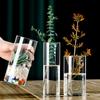 Hydroponische Glasblumenvase Transparent Minimalistische Blumenvase für Hochzeit Wohnzimmer Büro Dekoration Moos Ökologische Flasche