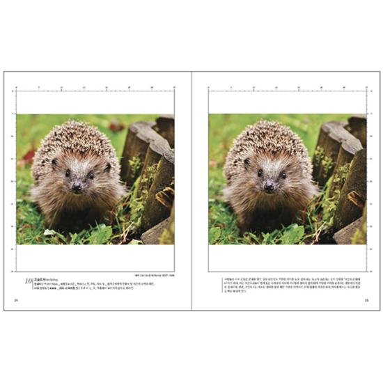 Brain UP Training Find Differences My Pet + World Cooking Set, Korean Popular Puzzles