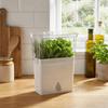 Large Capacity Vegetable Keeper Plastic Herb Lettuce Keeper  Prolongs Produce Life