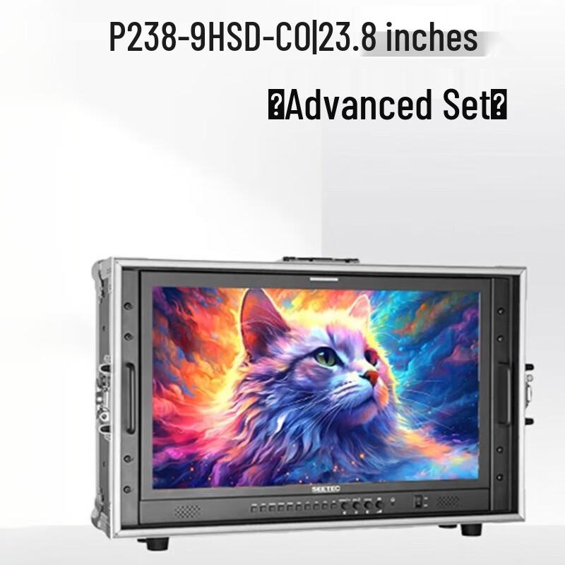 

SEETEC 4K HDMI Director Monitor