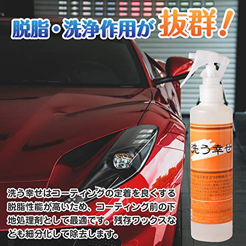 Car Shampoo, Coating Base, Water Stain Remover, Washing Happiness, 250ml, Enhanced Degreasing Version, High Foam, Body Cleaner, Oil Remover, Nano