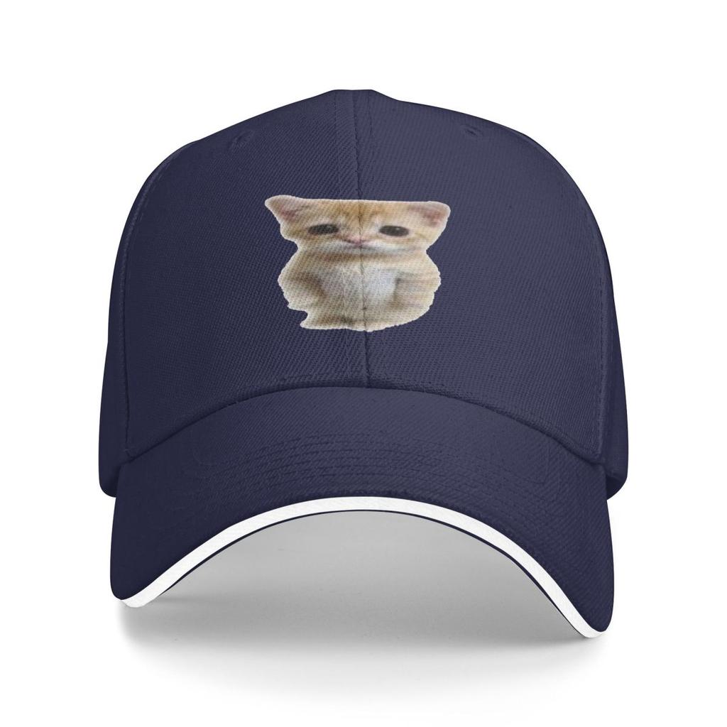 Unisex Baseball Hats El Gato Standing Cat Meme Outdoor Streetwear Summer Sports Baseball Caps Cap Casquette Polychromatic Hats