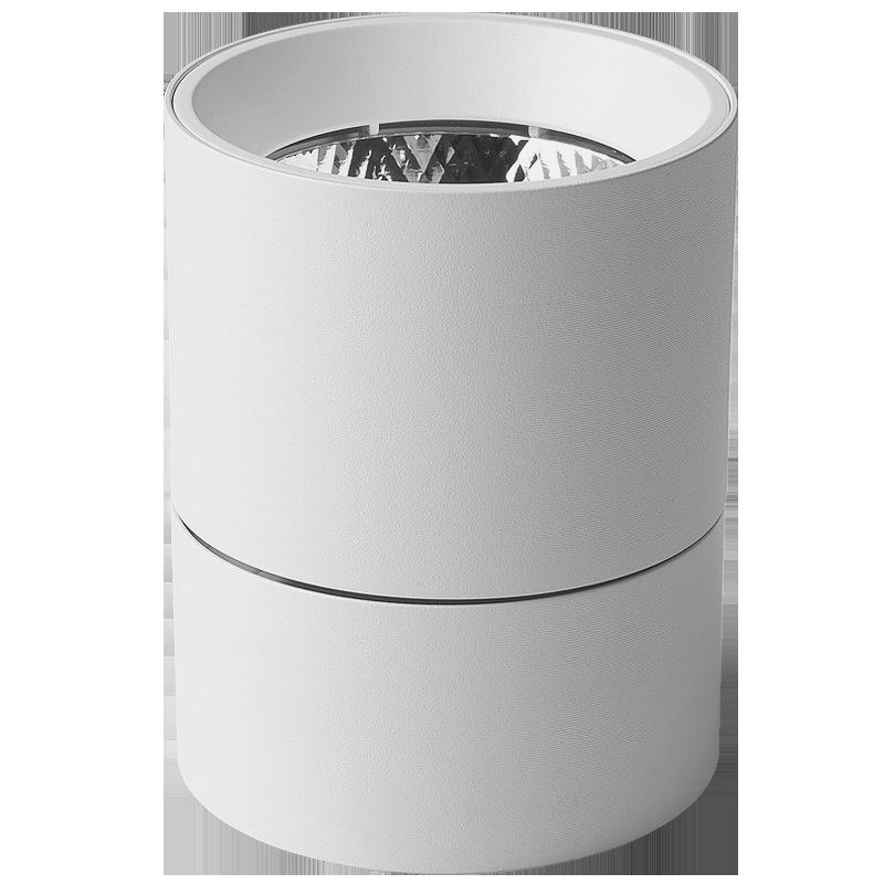 Adjustable LED Downlight Spotlight: Foldable No-Cutout Ceiling Light for Living Rooms, Walls, and Entrances