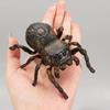 Latest Simulation Wild Insect Animals Model Plaything Beetle Spider Prop Model Children'S Cognitive Plaything Outdoor Insect Garden Ornaments
