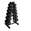 Commercial & Home Dumbbell Storage Rack