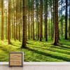 Tapet Pădure Soare Iarbă Verde Copaci Înalți Peisaj Natural Murală de Perete