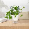 Strong Plastic Plant Trellis 1 5Pcs Honeycomb Design Supports Vines Flowers Ideal For Windowsill Or Desk Pots