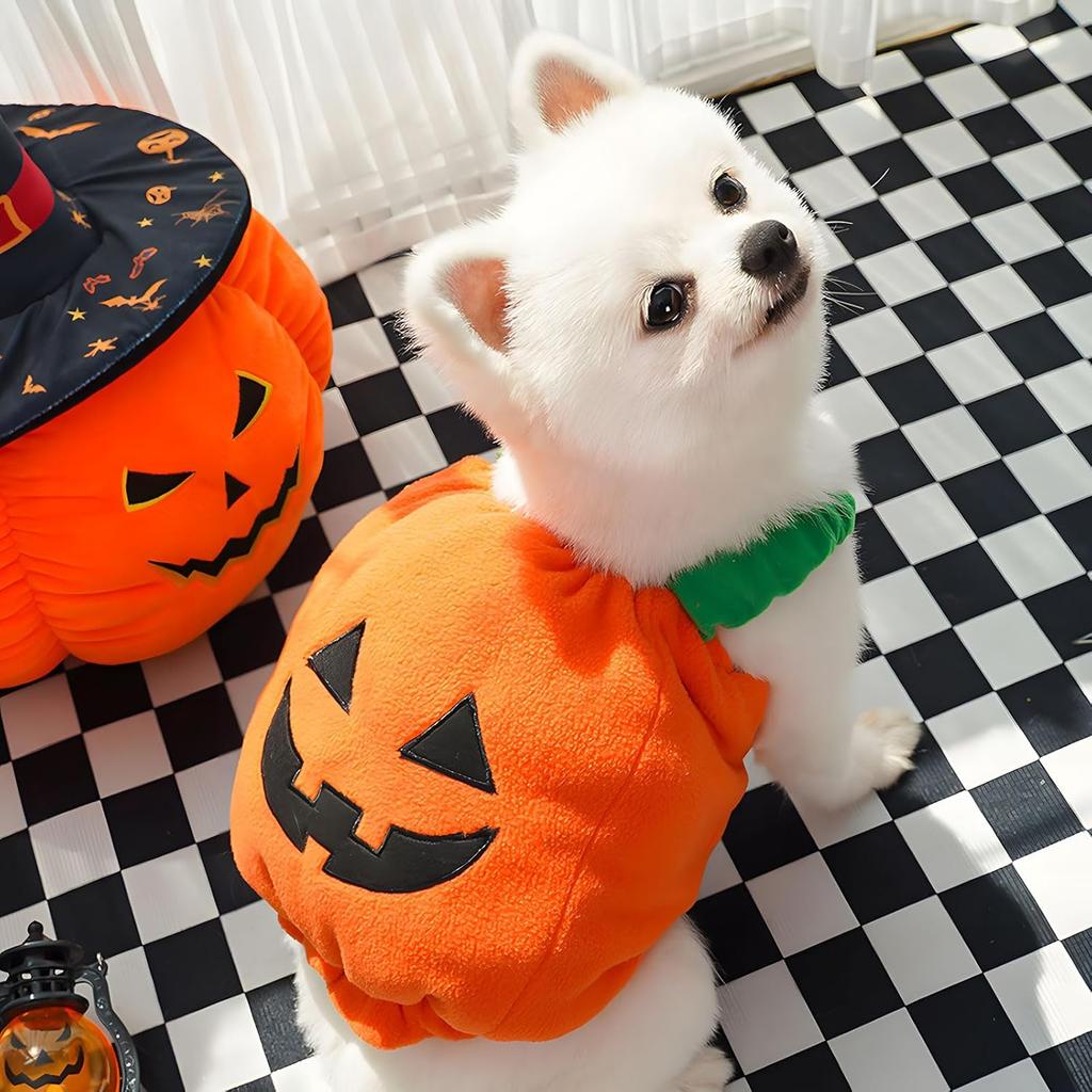 PETCARE Funny Pumpkin Dog Halloween Costume Pet Dog Cat Thick Plush Pumpkin Decoration Shirt Clothes for Small Medium Dogs Cats Puppy Cute Halloween