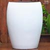 Extra Large White Ceramic Pot: European Style Succulent and Flower Pot for Courtyard Landscaping with Rough Texture and Large Caliber.