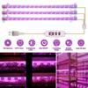 1/2/3/4 Red Blue LED Grow Light Strip Tube Indoor Plant USB Full Spectrum Phyto Lamp Dimmable Timer Seedlings Vegs Flower Lamp