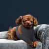Pet Front Leg Sleeve Wrap Support Aids In Healing Comfortable Sleeve Leggings