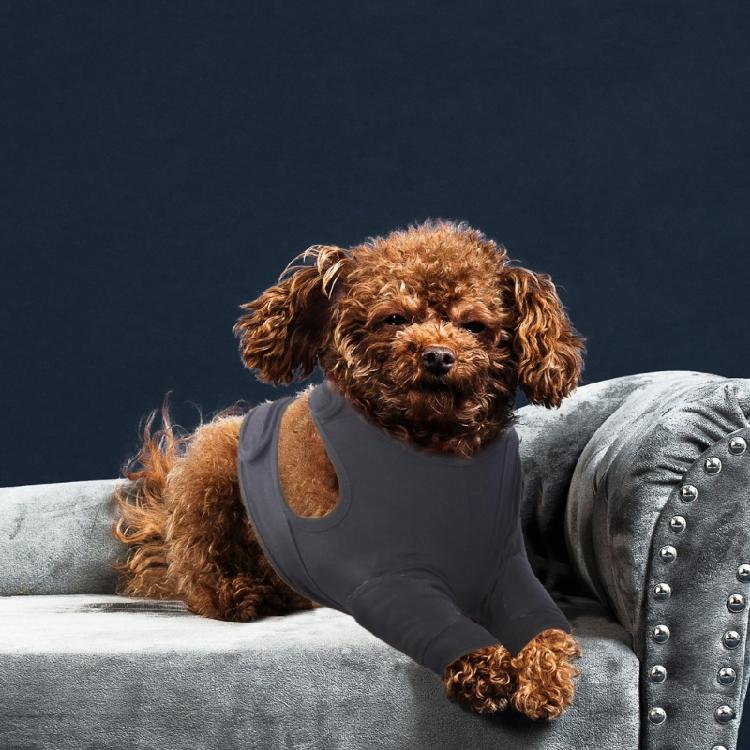 Pet Front Leg Sleeve Wrap Support Aids In Healing Comfortable Sleeve Leggings