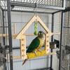 Wear Resistant Parrot Swing Toy Wooden Interactive Bird Toy Parrot Play Rack  Beak Sharpening