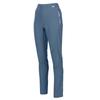 Regatta Womens/Ladies Pentre Marl Hiking Trousers