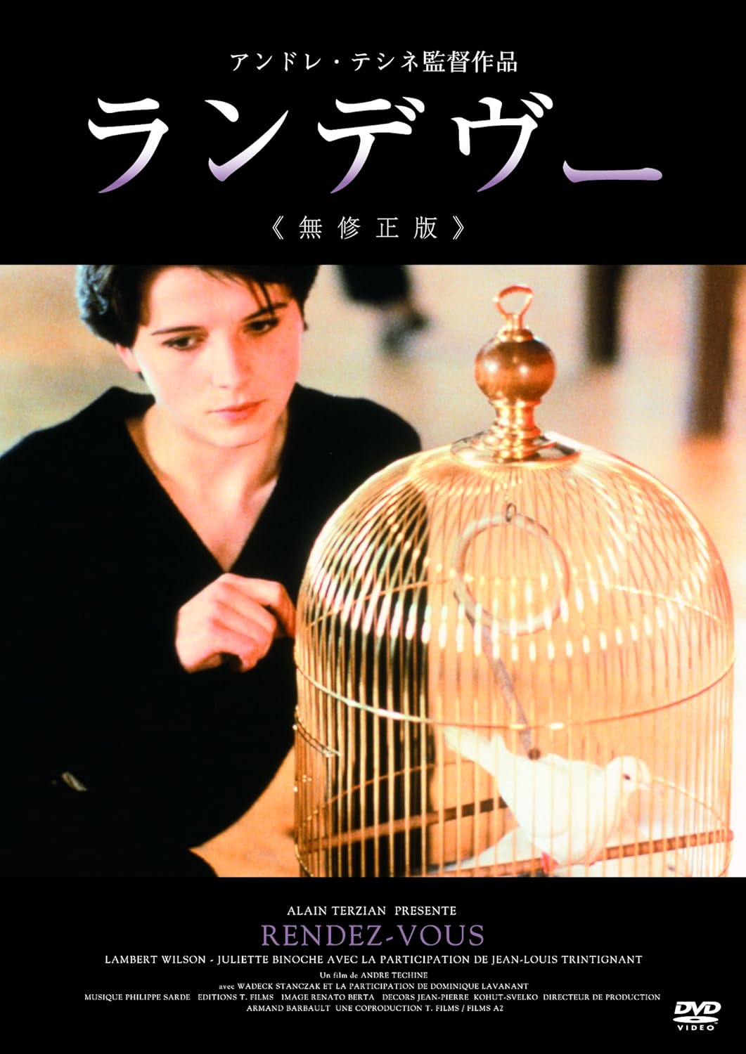 

DVD DVD - Rendezvous (Uncensored Version) KIBF4166 Japan Movies & DVD Used