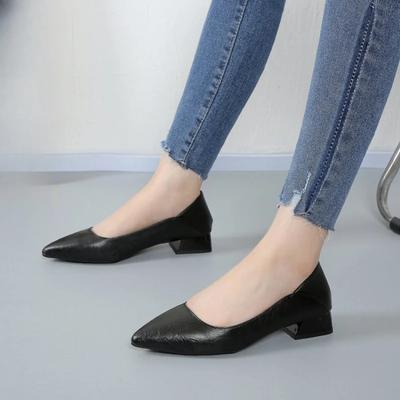 2024 Nieuwe Damesschoenen Lage Instap Dikke Hak Puntige Damesschoenen Damesmode Jurk Kantoor