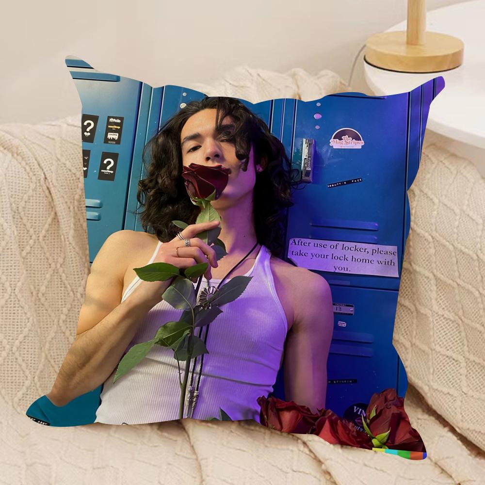 Singer C-Conan G-Gray Cushion Cover Silky Short Plush Invisible Zipper Dustproof Sofa Pillow Case For Home Decor