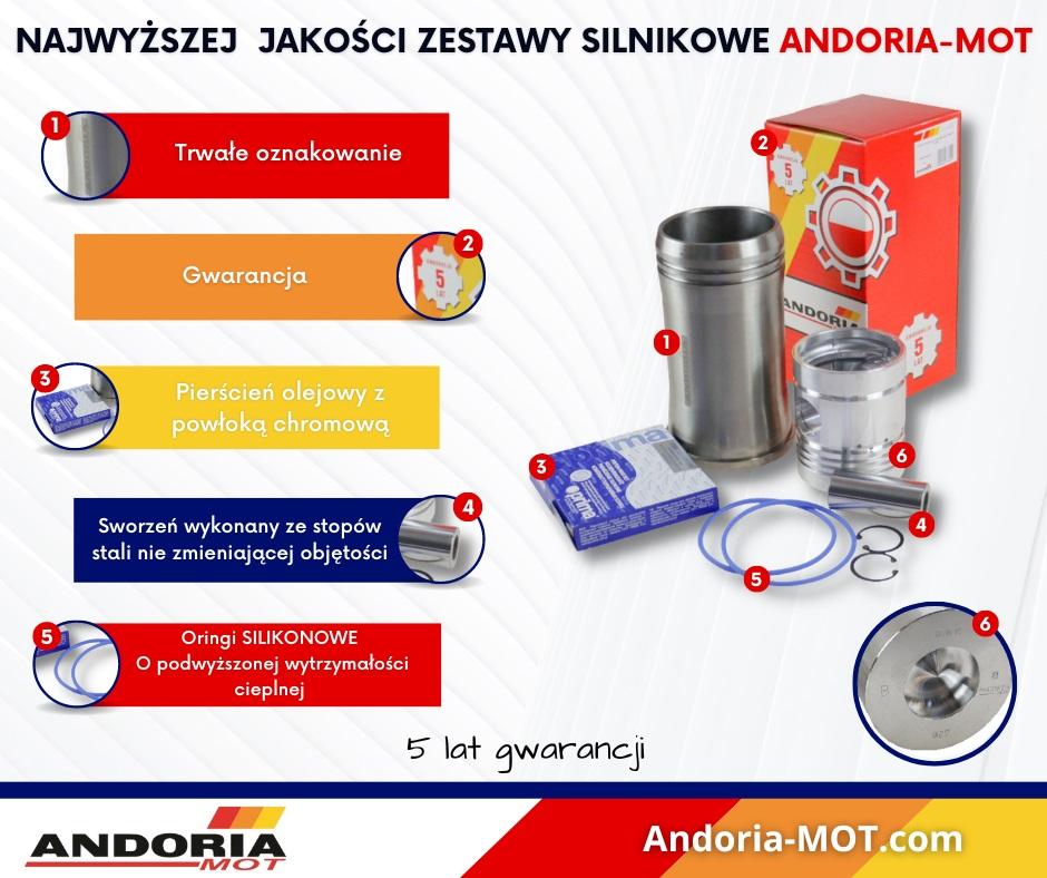 Engine repair kit 102 3-ring chamber 55 71010303 Zetor ANDORIA