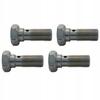 4x Banjo Bolt - Overflow - For Eyelets M10X1 - Zinc Plated; Sr-04