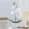 Aphrodite Simulation Phalaenopsis Flower Bonsai Home Living Decoration Room
