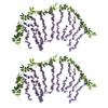 2 Artificial Wisteria Flower Vines for Elegant Home and For Wedding Decor Long Lasting Silk Material for All Occasions