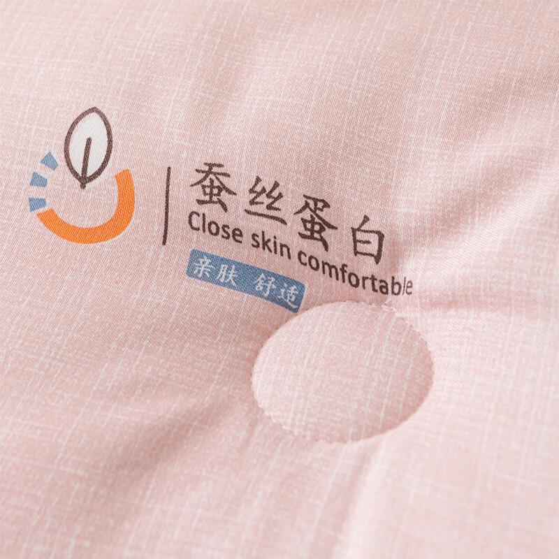 Yueda Silky All-Season Duck Down Quilt