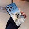 Cute S-Seal Seals Animal Phone Case For iPhone 17,16,15,11,12,14,13 Pro Max Mini XS,XR,7 Plus 16E Air Soft Covers Fundas