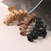 Fashionable N-shaped Large Frosted Spray-painted Plastic Hair Clip for Ladies' Hair