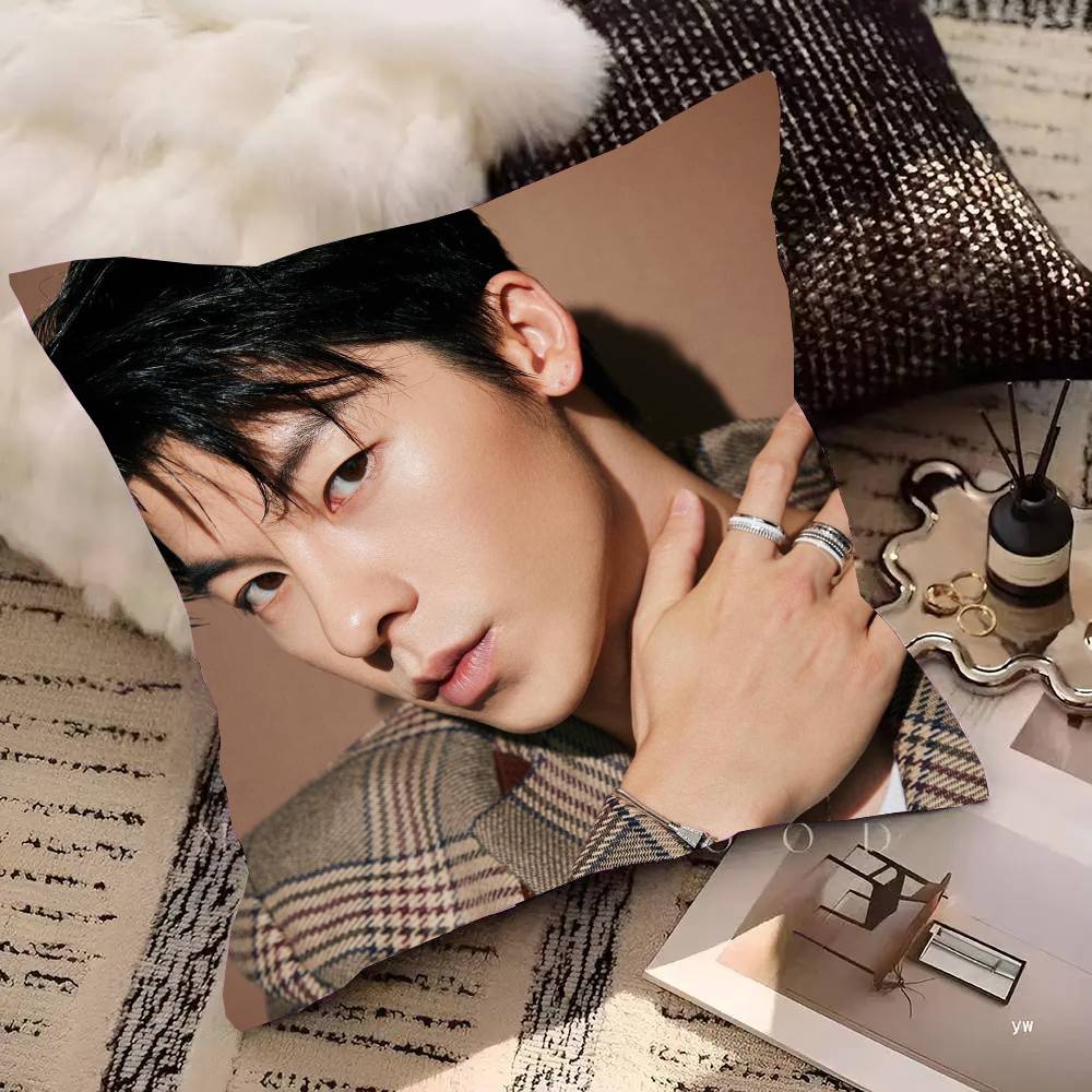 Actor And Singer Xu Guanghan Pillow Case Fashion Square Pillowcase Bedroom Sofa Room Ins Decoration Leisure