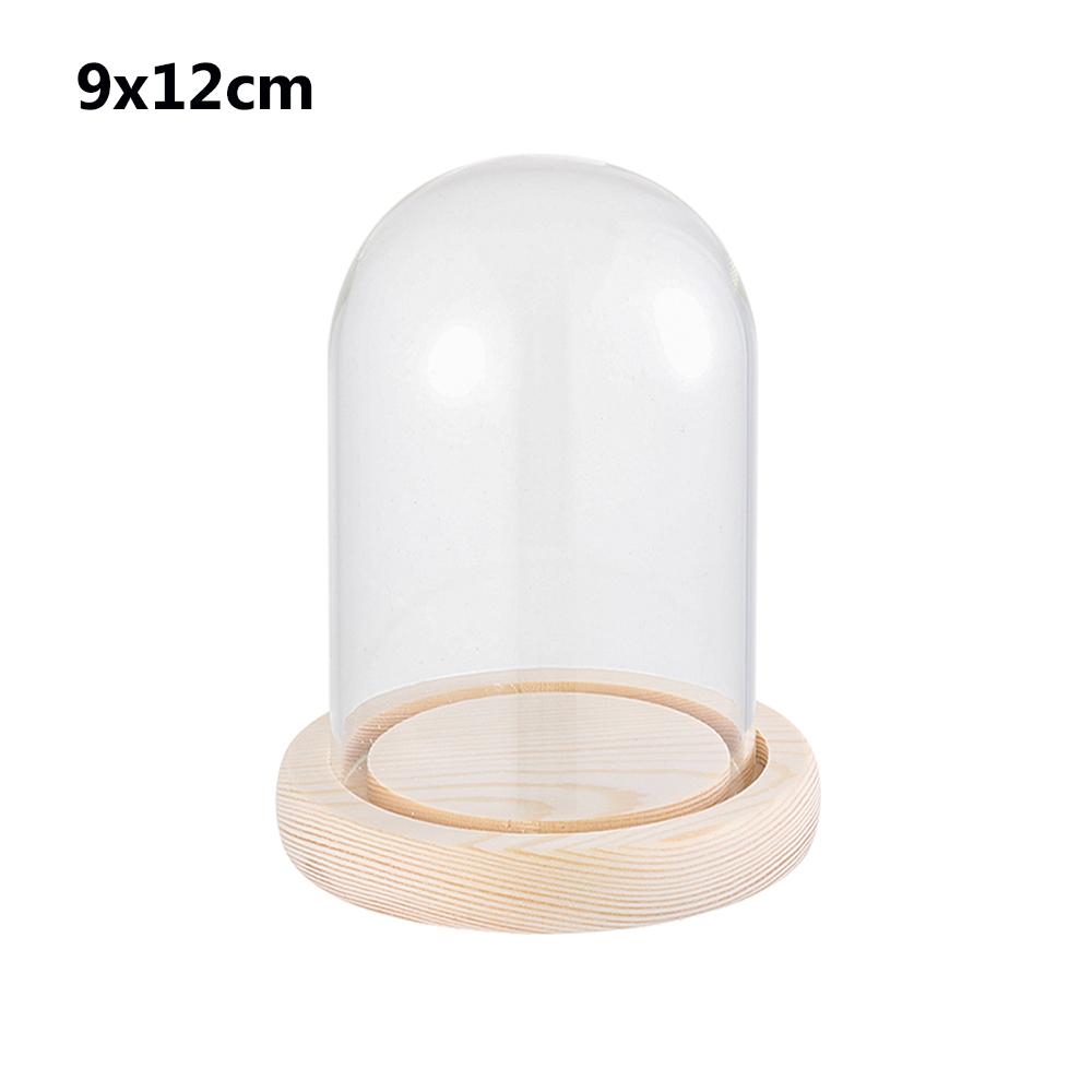 Terrarium Bottle with Wooden Base Dust Cover Glass Cloche Jar Display Stand Cover Display Box Immortal Flower Storage Bottle
