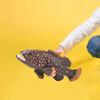 Creature Figurines Set for Kids - Educational Marine Animal Toy Collection