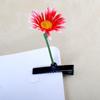 5ks Funny Plant Hairpin Flower Butterfly Sprout Sponky do vlasů pro děti, dívky, ženy