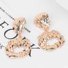 Chic Geometric Alloy Earrings Versatile Street Style Trendy Accessories Fashion