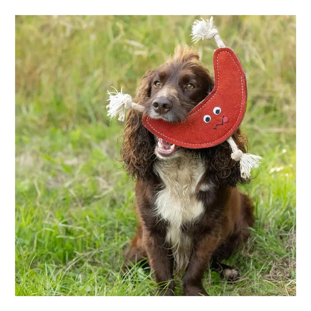 Benji & Flo Verrückte Gesichter Bounce Back Bumerang Wildlederseil Hundespielzeug