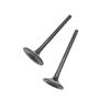 Intake Valve & Exhaust Valve Stem Kit For HISUN STRIKE 250CC HS250 P013000147210000,P013000147110000