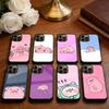 Süße Cartoon-Schwein Handyhülle Für iPhone17,16,15,14,13 Plus,Pro Max Magnetisch Für Magsafe Kabelloses Laden