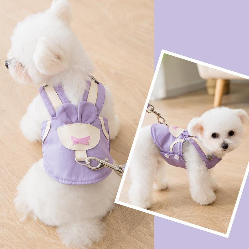 personalised puppy harness
