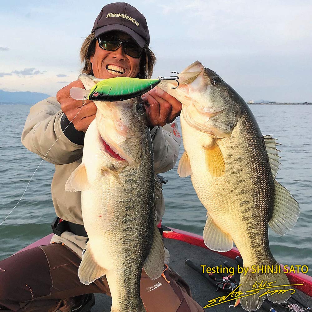 Megabass Champagne Gold Lure BIG-M 7.5M