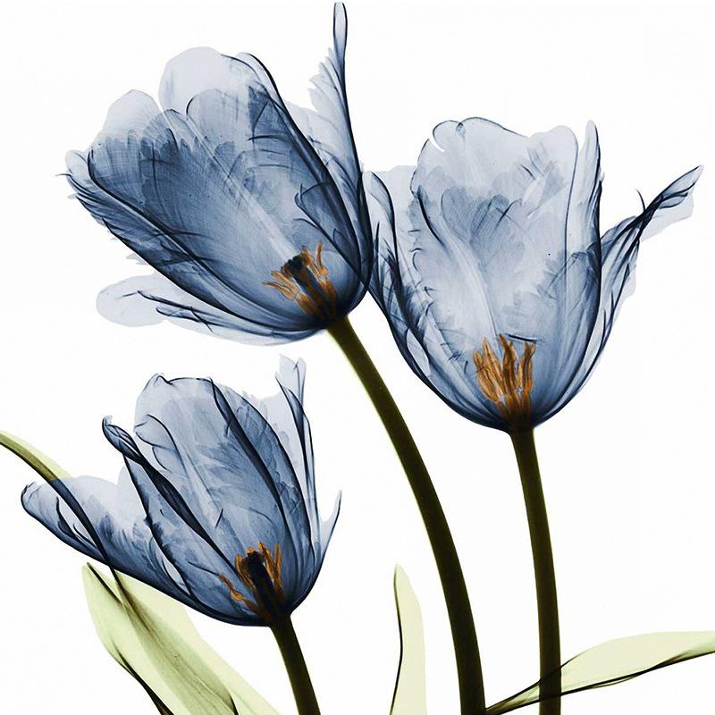 Flower 3D Digital Printing Shower Curtain Bathroom Without Punching Four-Piece Bathroom Curtain Shower Curtain Bathroom Curtain