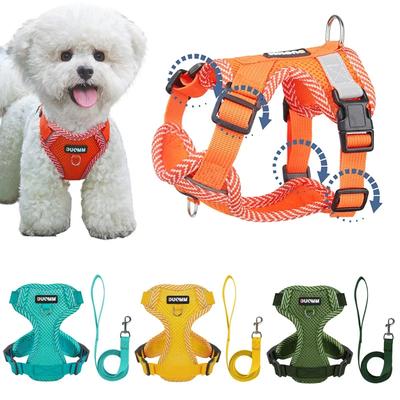 Köpek – Köpek Tasmaları ve Tasma Kayışları