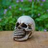 Skulls Figurine No Evil Resin Human Skull Statue Head Sculptures Skull Collectible Halloween Funny Skull Home Decor